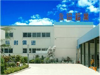 company name