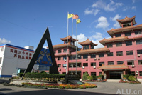 company name