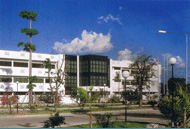 company name