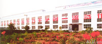 company name