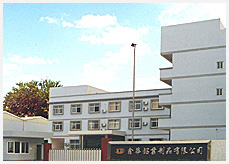 company name