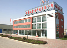 company name