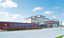 company name
