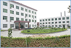 company name