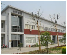 company name