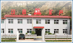 company name
