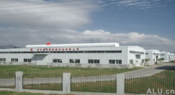 company name