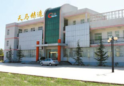 company name