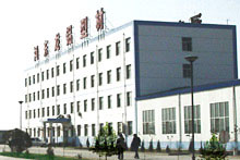 company name