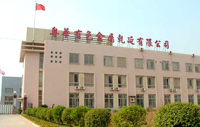 company name