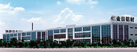 company name
