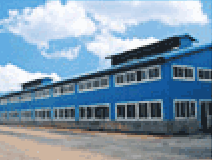 company name