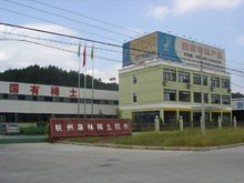 company name