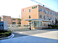 company name
