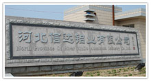 company name