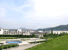 company name