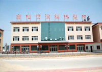 company name