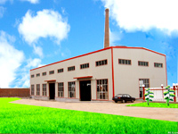 company name