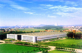 company name