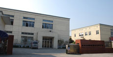 company name
