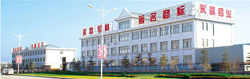 company name