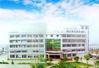 company name