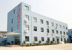 company name