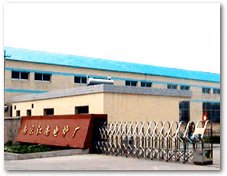 company name