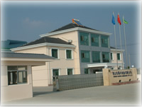 company name