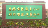 company name