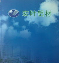 company name