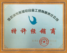 company name