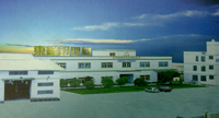 company name