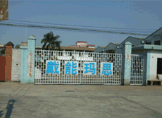 company name