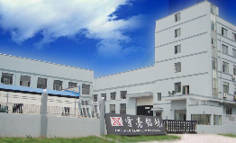 company name