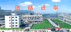 company name