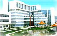 company name