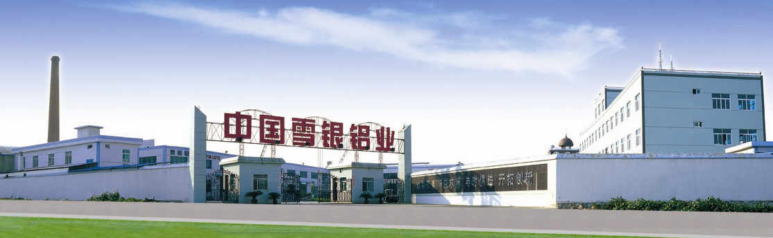 company name