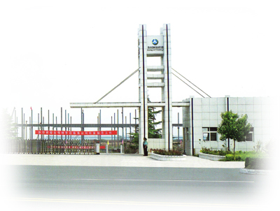 company name