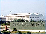 company name