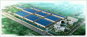 company name