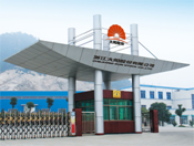 company name