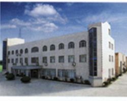 company name