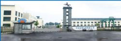 company name