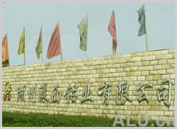 company name