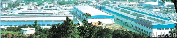 company name