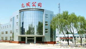 company name