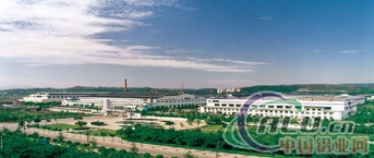 company name