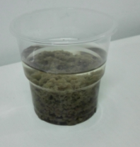 铝业网图片
