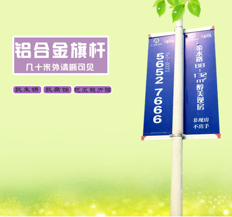 C:\Users\Administrator\Desktop\鍏徃浜у搧鍥剧墖\閬撴棗鏋?\閬撴棗.jpg